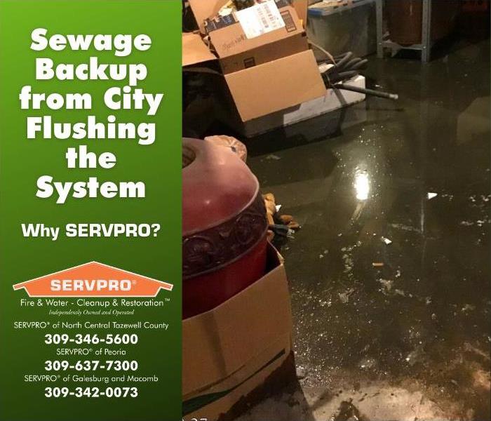 Water and sewage on basement floor.