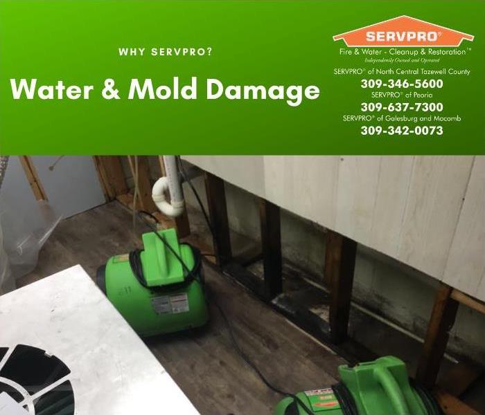 Drying of water damage where mold has started to grow.