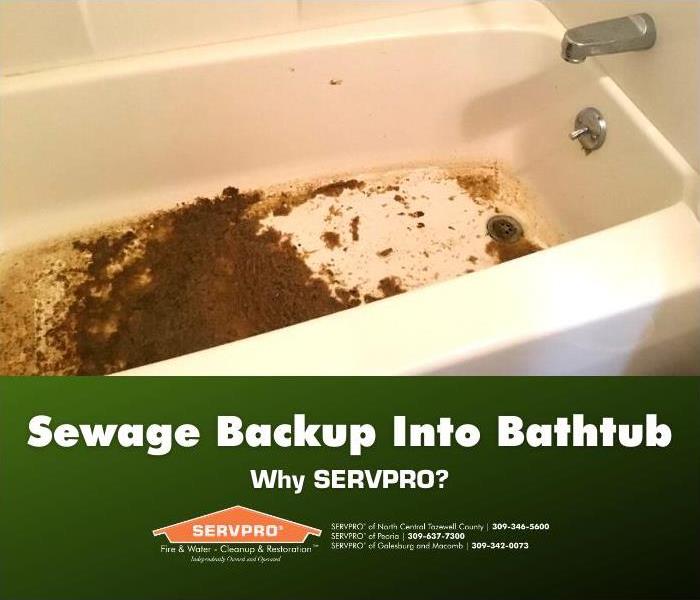 Sewage Backup Into Bathtub