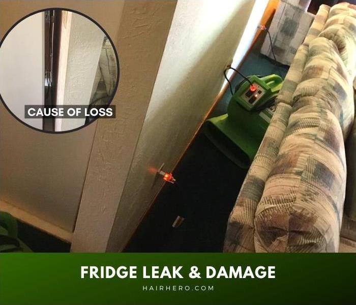 Image of the affected area and the case of loss from the water damage.