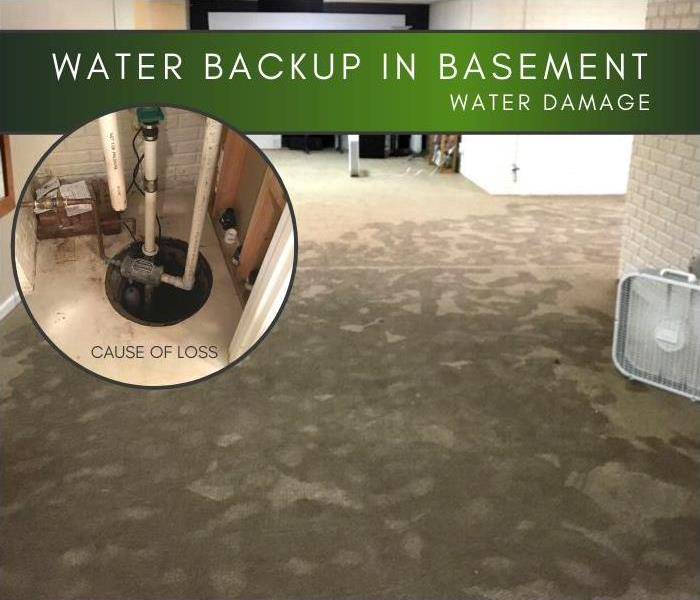 Image of water soaked carpet in a finished basement.