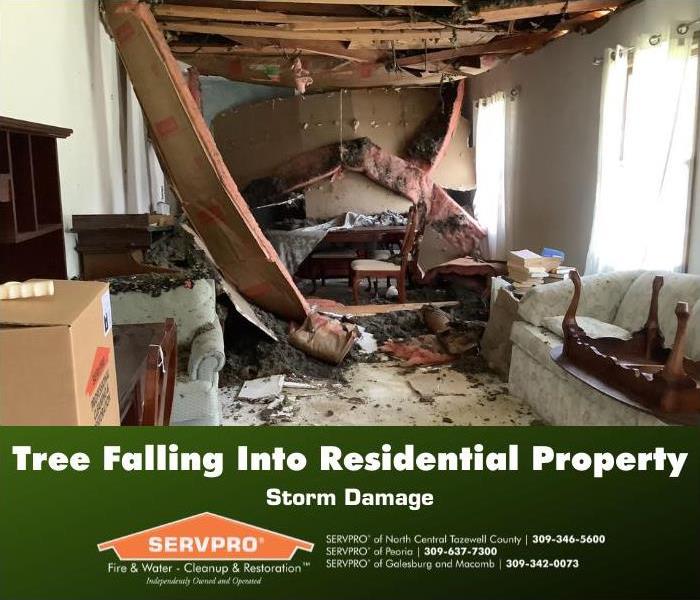 Ceiling materials collapsed into the home after a tree fell onto the roof.