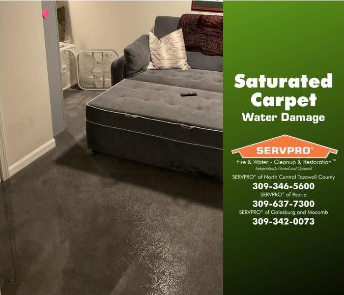 Carpet completely saturated after water damage.