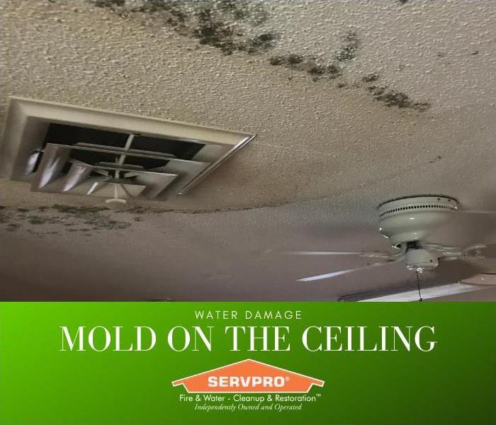 Image of ceiling covered in mold cause by fire sprinklers