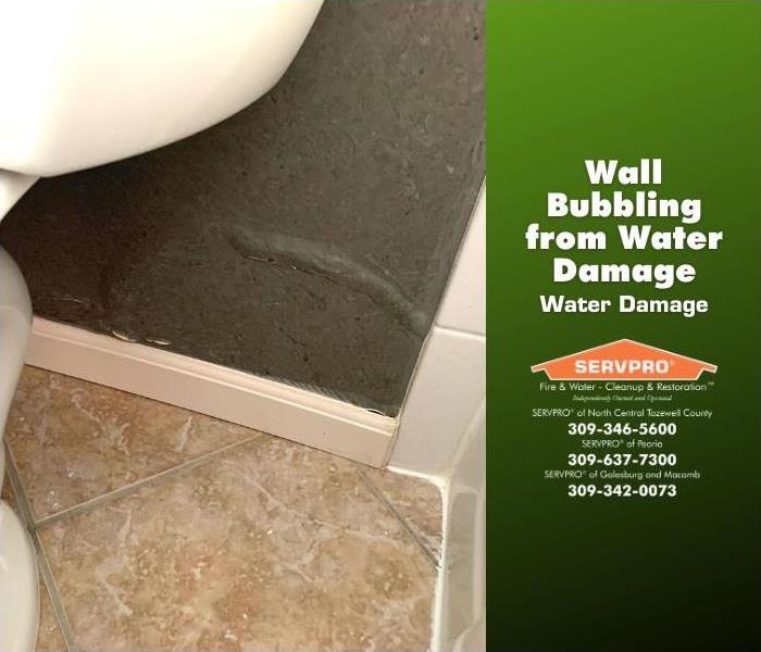 Wall behind toilet has a large bubble forming from frequent exposure to water/moisture.