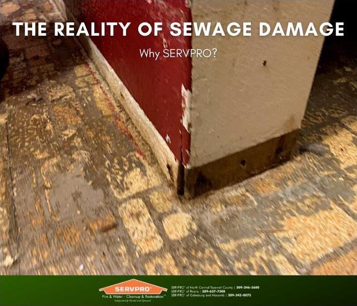 Damage to floors and walls after sewage damage.
