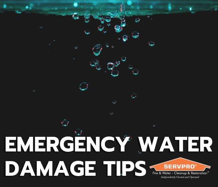 Emergency Water Damage Tips (Title Card)