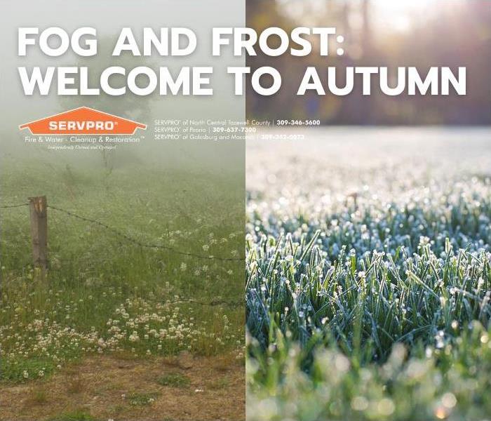 Title Card - Split images of a foggy field and a frosted field