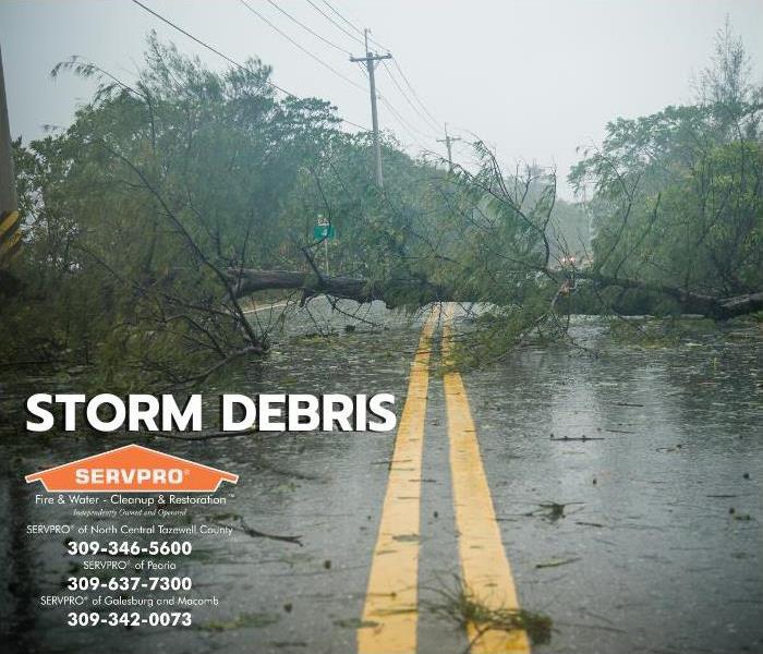 Title Card - Storm debris in the middle of a road.
