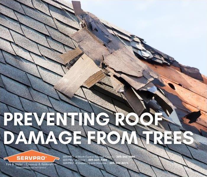 Title Card - Damaged Roof